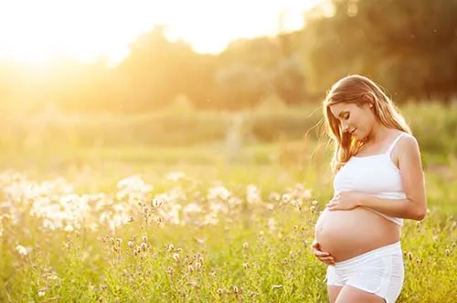 pregnancy 500x332 1
